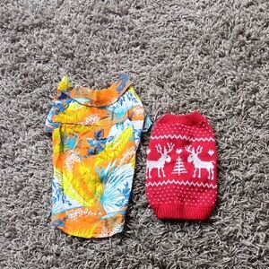 Tropical Orange and Festive Red Dog Sweater Set